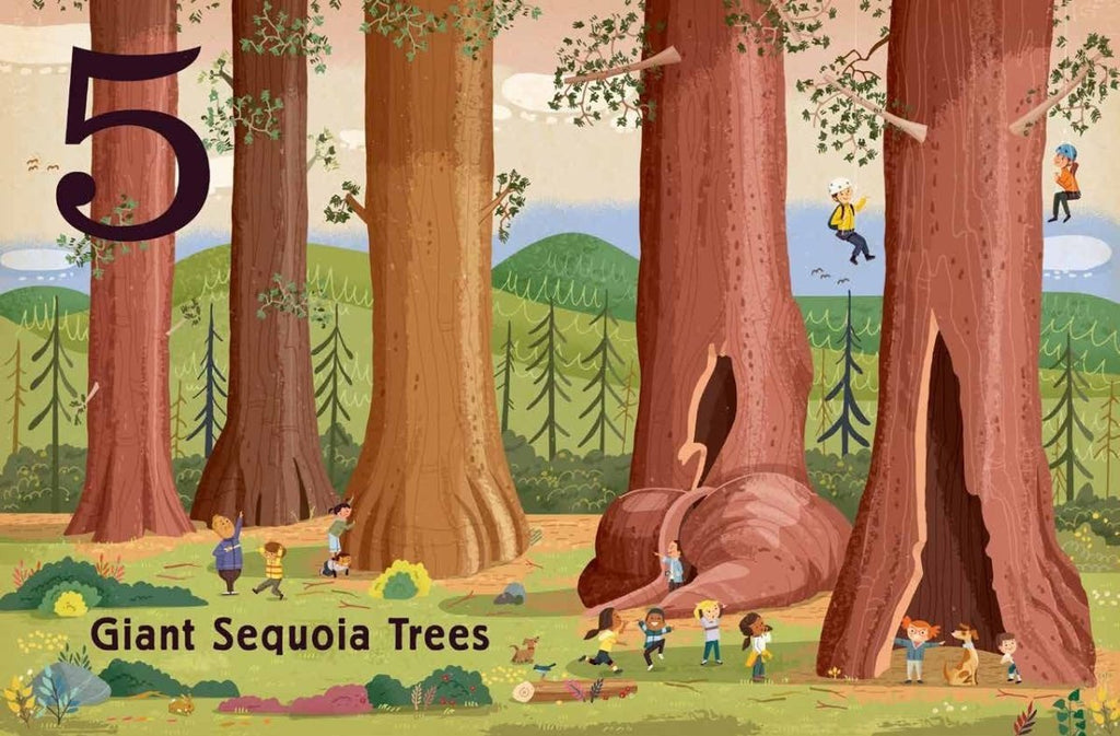 trees - a count and find primer board book - Daffodilly